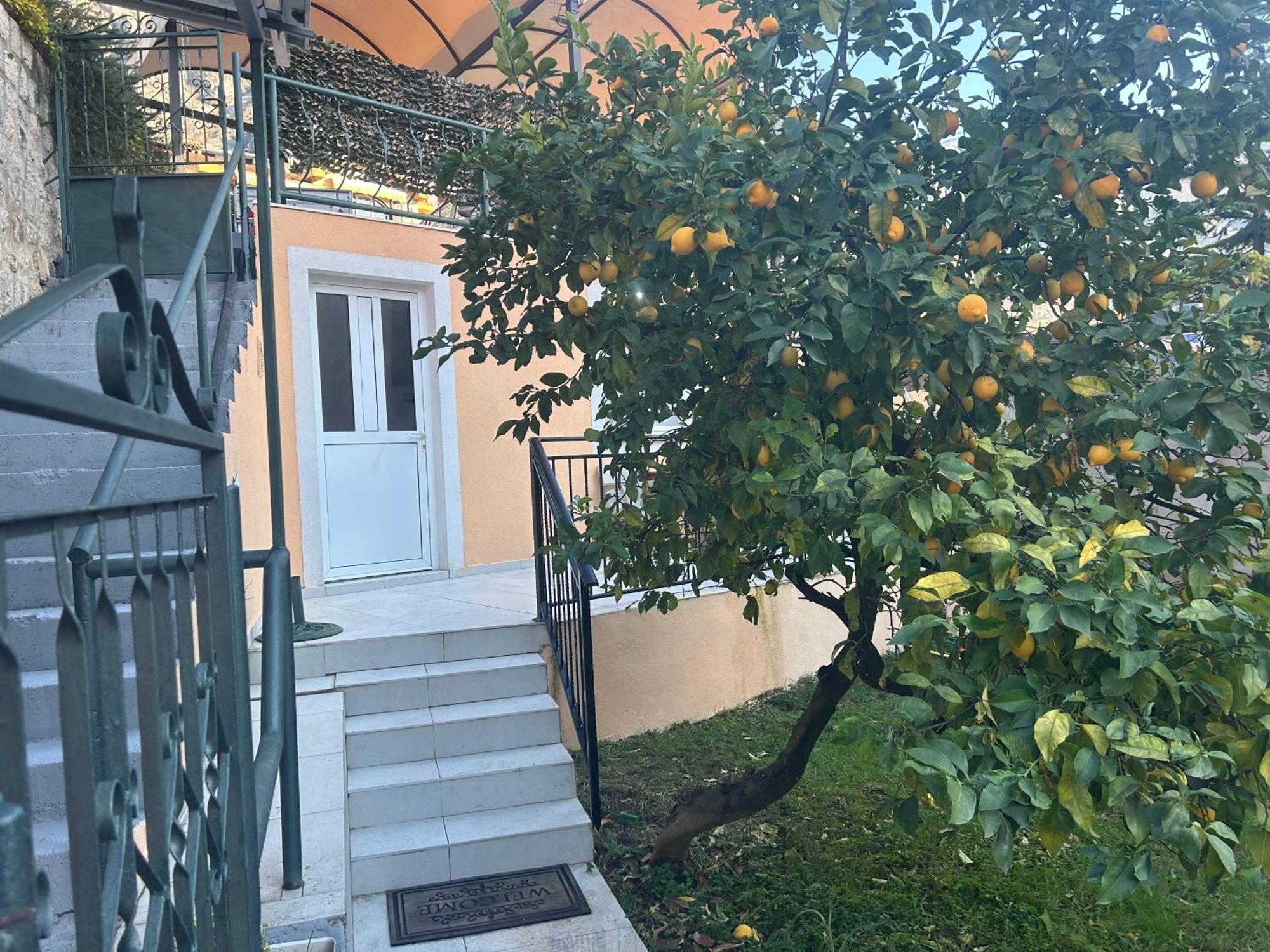 Villa Miramare , Dobrota Seafront Kotor Dış mekan fotoğraf