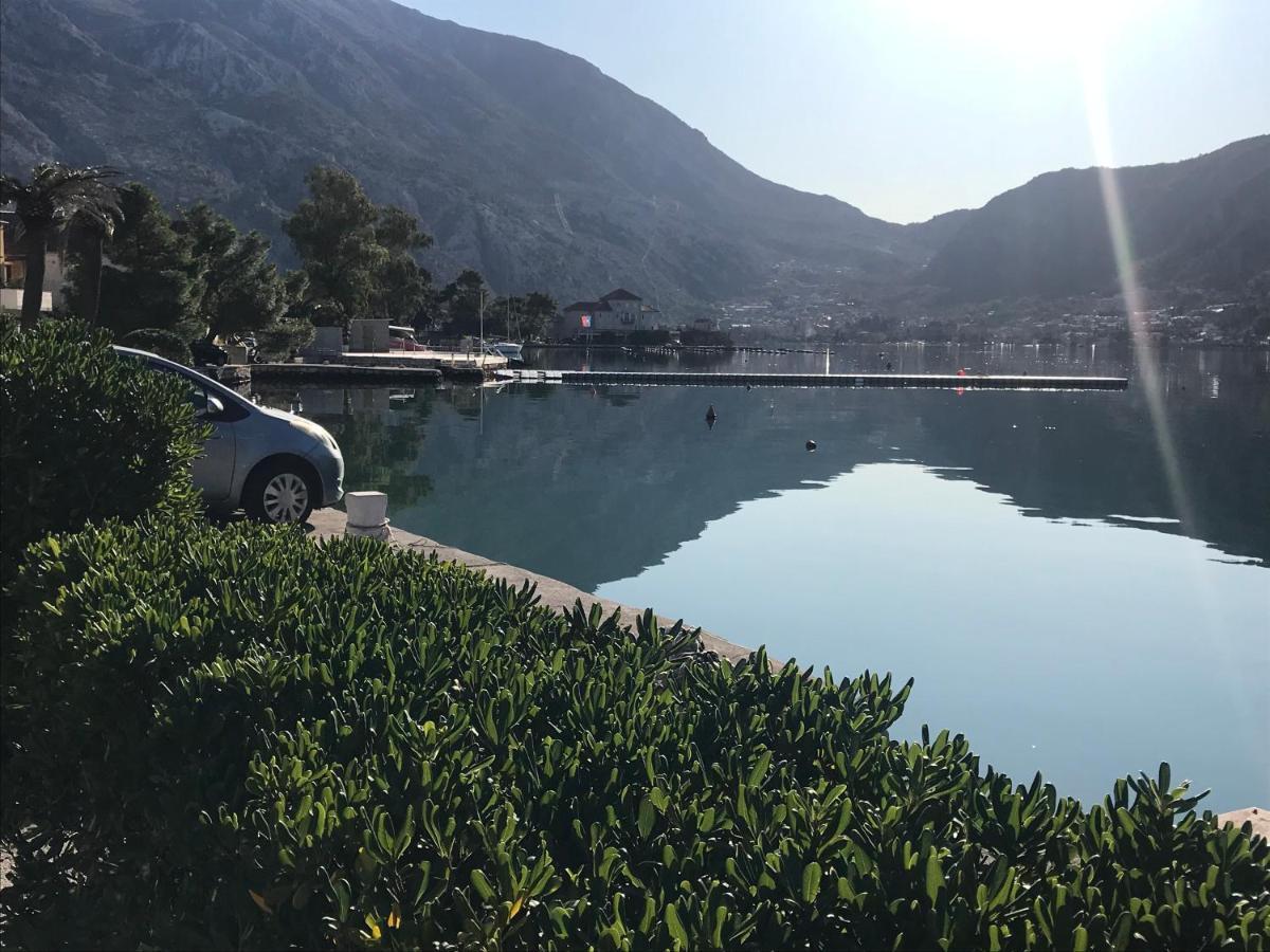 Villa Miramare , Dobrota Seafront Kotor Dış mekan fotoğraf