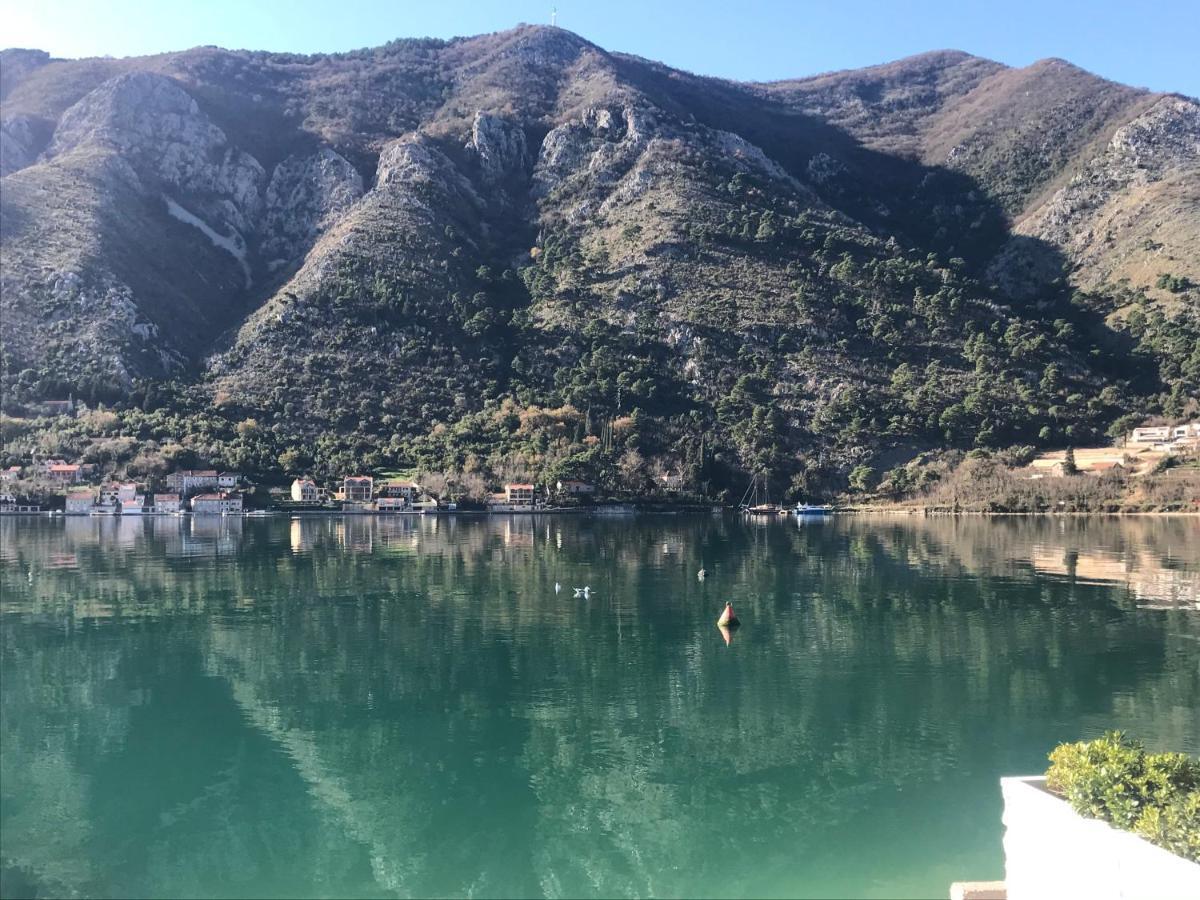 Villa Miramare , Dobrota Seafront Kotor Dış mekan fotoğraf