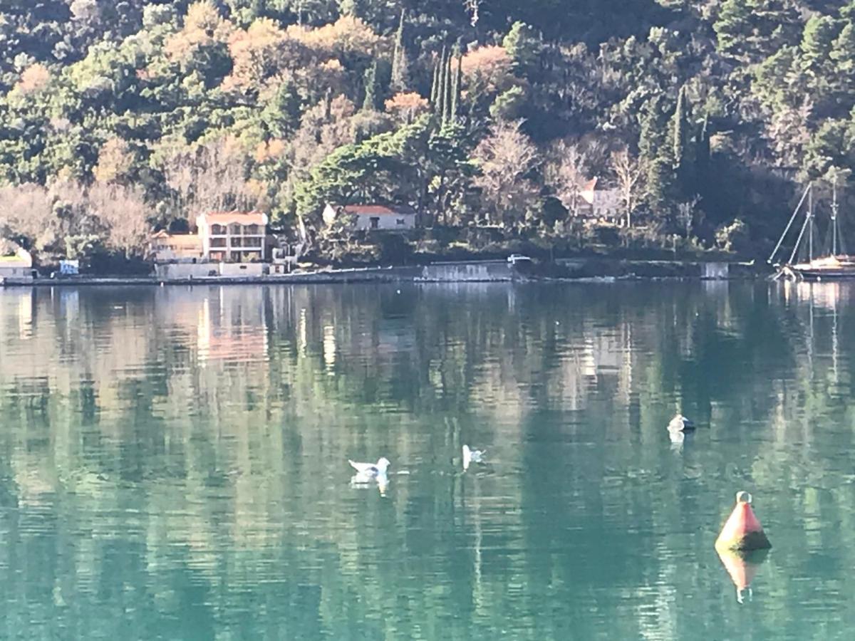 Villa Miramare , Dobrota Seafront Kotor Dış mekan fotoğraf